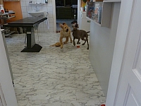 Image00008 1200x900 - (102114 bytes)