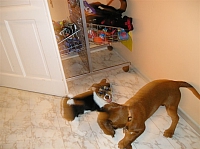 P1011827 1024x766 - (78230 bytes)