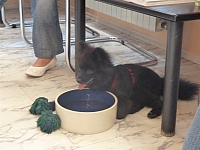 Image00015 1200x900 - (97727 bytes)