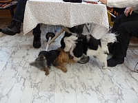 Image00008 1200x900 - (131513 bytes)
