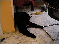 P1010450 1024x766 - (71106 bytes)