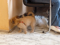 Image00010 1200x900 - (100907 bytes)