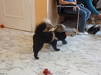 Image00012 1200x900 - (109694 bytes)