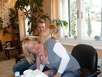 P1000346 640x480 - (162828 bytes)