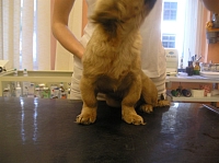 P1012421 1200x898 - (90981 bytes)