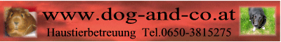 dogandco
